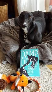 Wren knows a good read when she sees one.