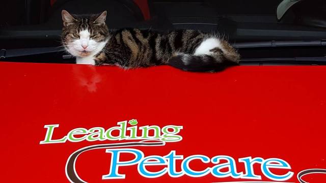 rabanne-car-close-up