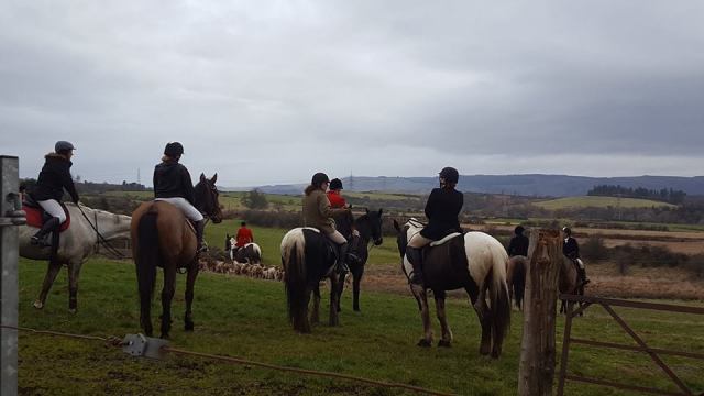 Fox hunters gather.