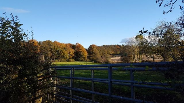 Houston - Barochan Road @ 3pm