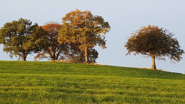 Early morning, 7:45am, - farmland around Houston.