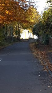 Houston village @ 4pm