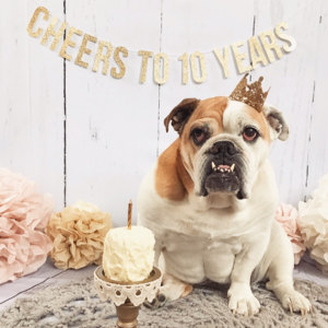 10th Annivrsary banner